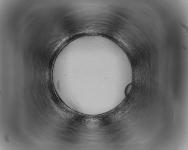 X0000094380208200711301408