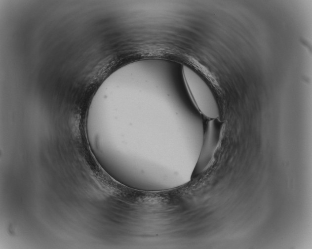 X0000094380209200711301408