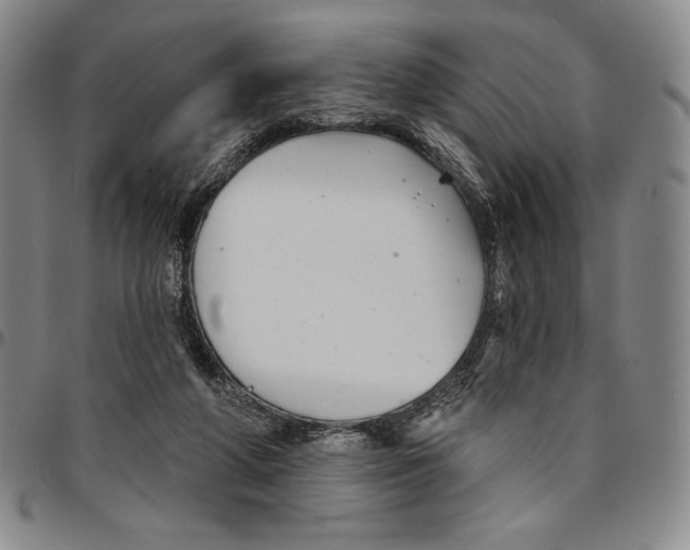 X0000094380210200711301408