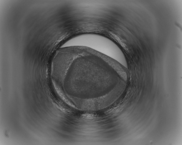 X0000094380211200711301408
