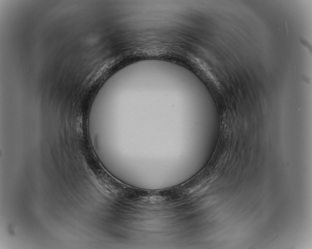 X0000094380212200711301408