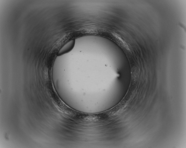 X0000094380213200711301408