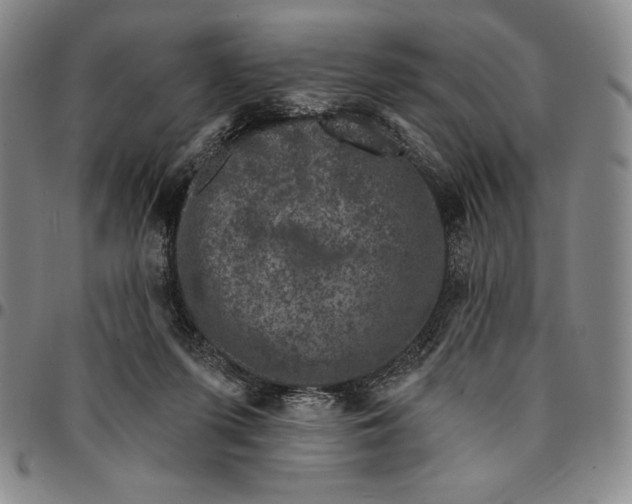 X0000094380215200711301407
