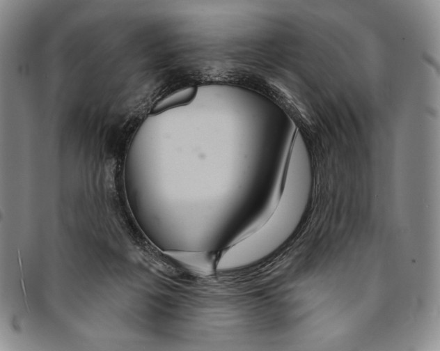 X0000094380217200711301407