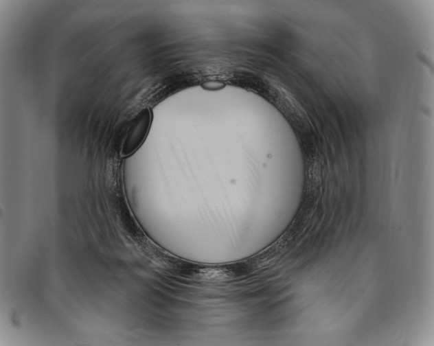 X0000094380218200711301407