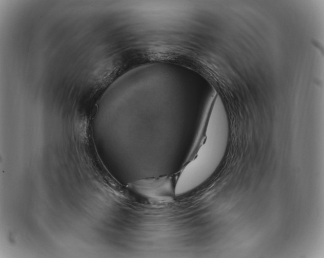 X0000094380219200711301407