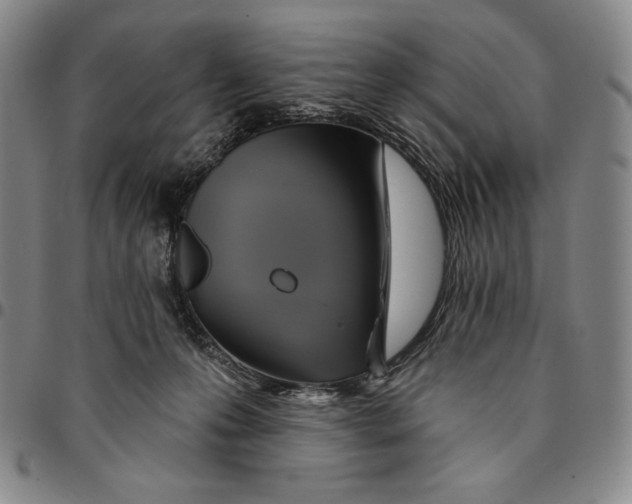 X0000094380223200711301407