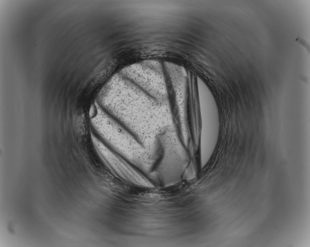 X0000094380224200711301407