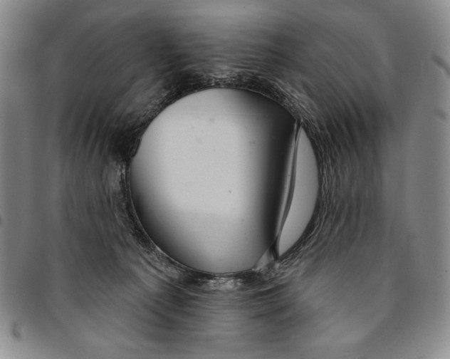 X0000094380225200711301407