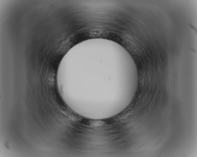 X0000094380226200711301407