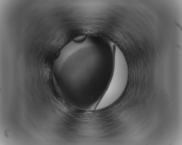 X0000094380227200711301407
