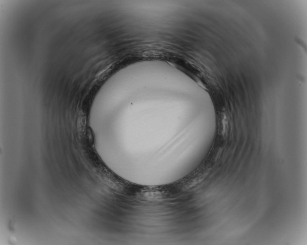 X0000094380228200711301407