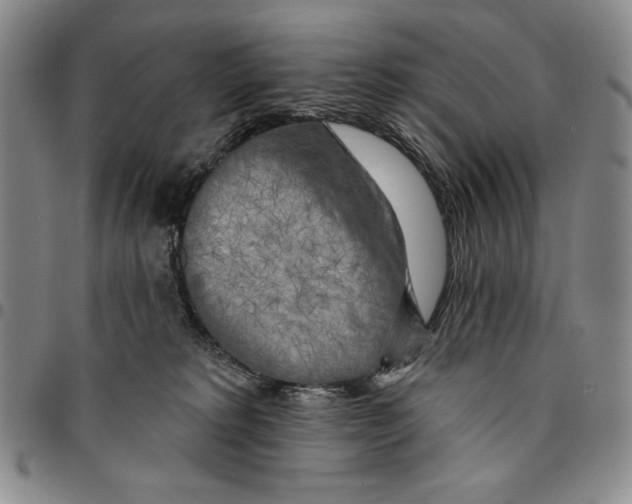 X0000094380229200711301407