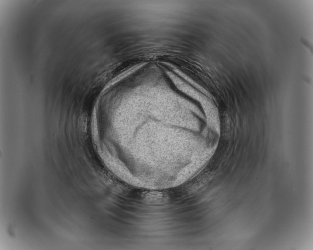 X0000094380230200711301407