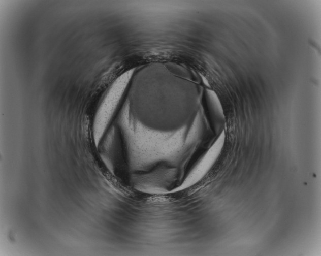 X0000094380231200711301407