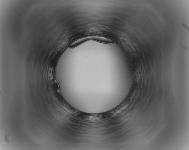 X0000094380232200711301407