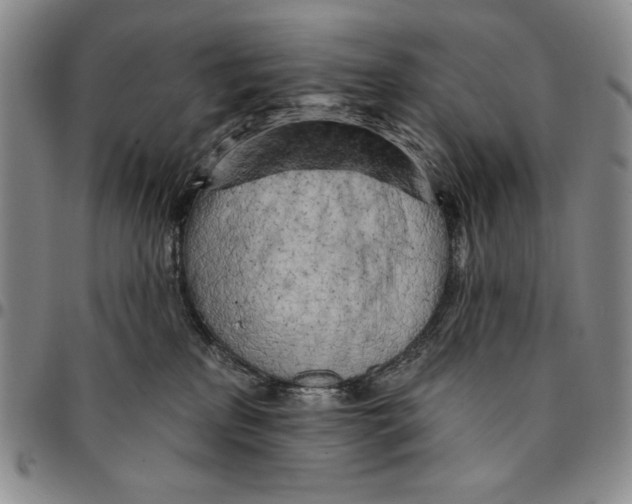 X0000094380233200711301407