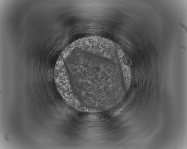 X0000094380236200711301407