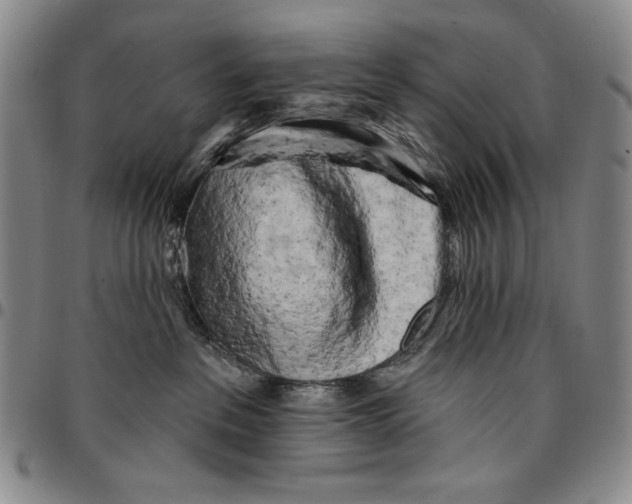 X0000094380237200711301407