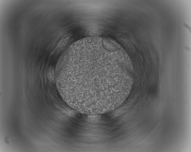 X0000094380240200711301407