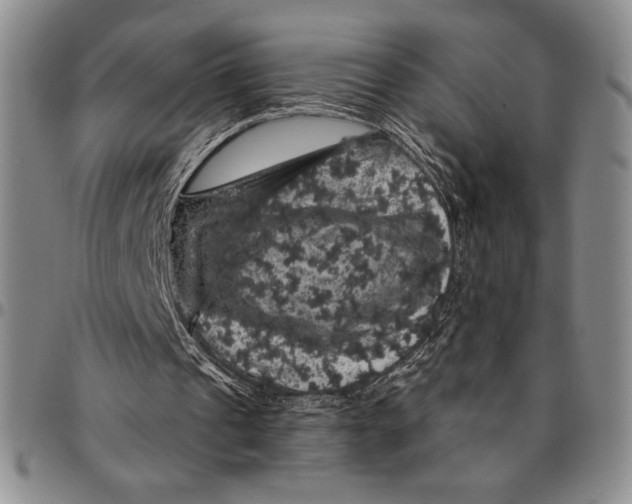 X0000094380241200711301406