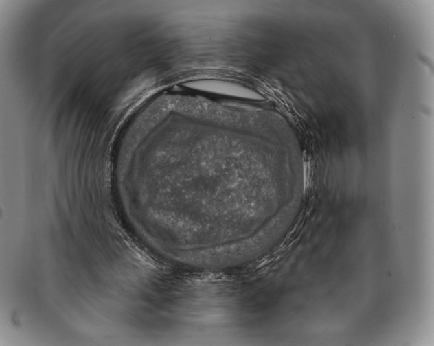 X0000094380243200711301407