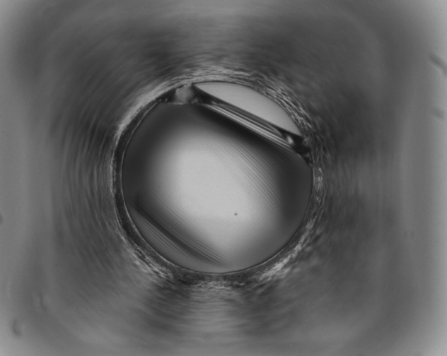 X0000094380244200711301407