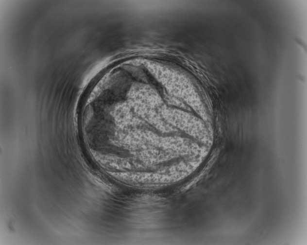 X0000094380246200711301407