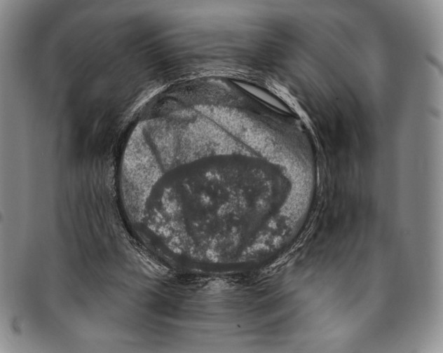 X0000094380249200711301407