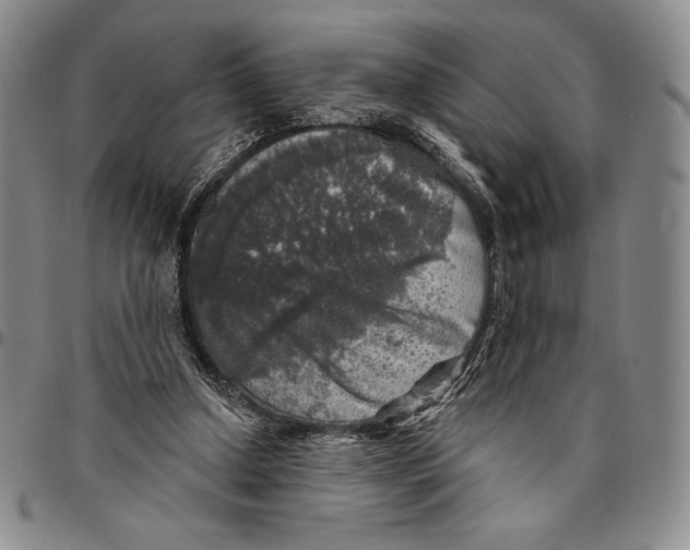 X0000094380250200711301407