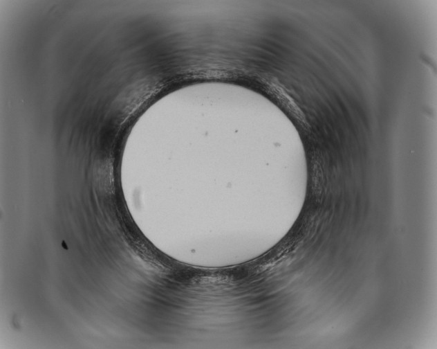 X0000094380251200711301407