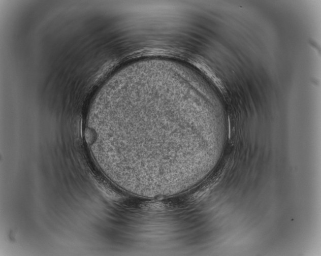 X0000094380253200711301407