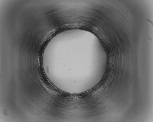 X0000094380254200711301407