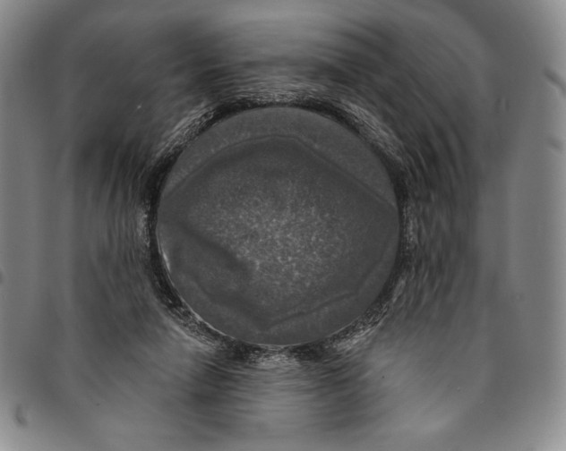 X0000094380258200711301407