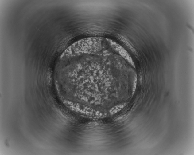 X0000094380259200711301407