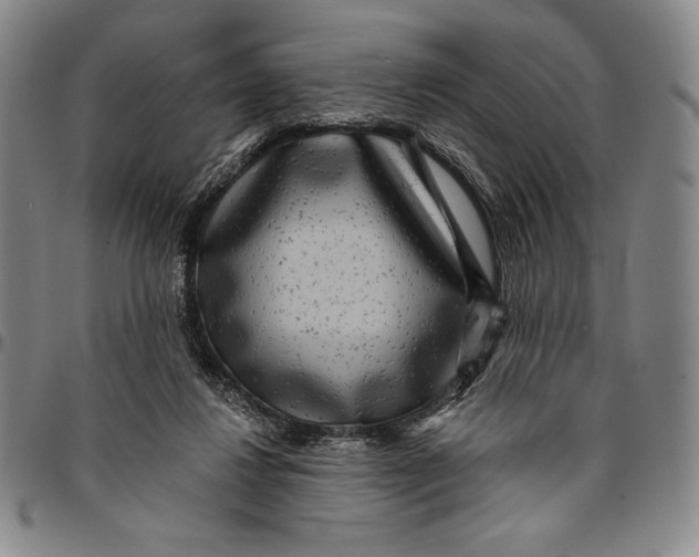 X0000094380260200711301407