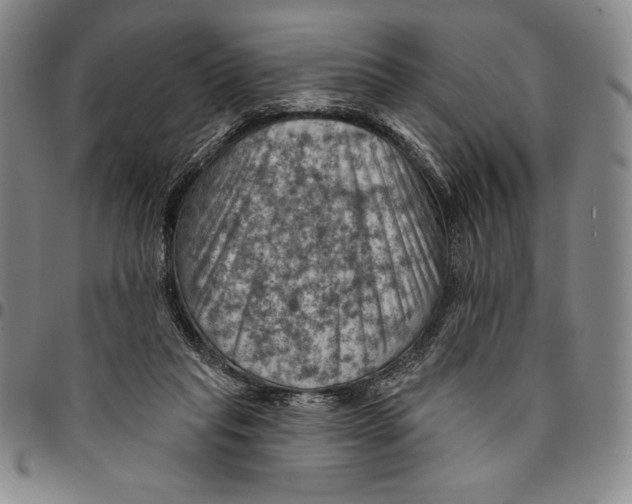 X0000094380261200711301407