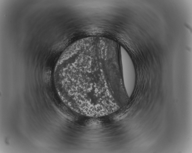 X0000094380263200711301407