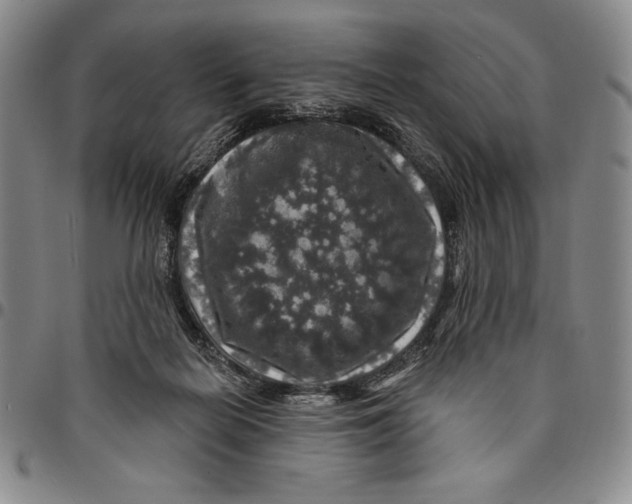 X0000094380266200711301407