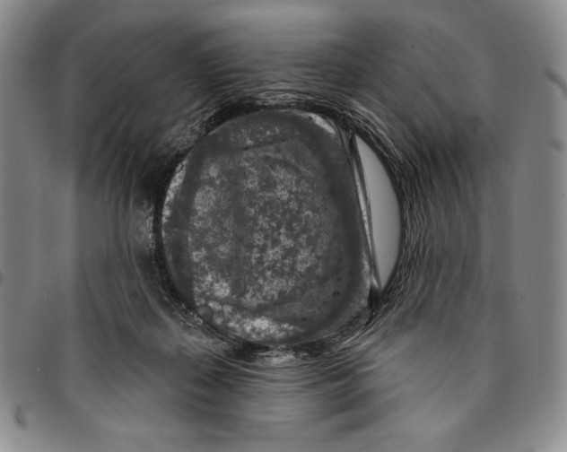 X0000094380267200711301407