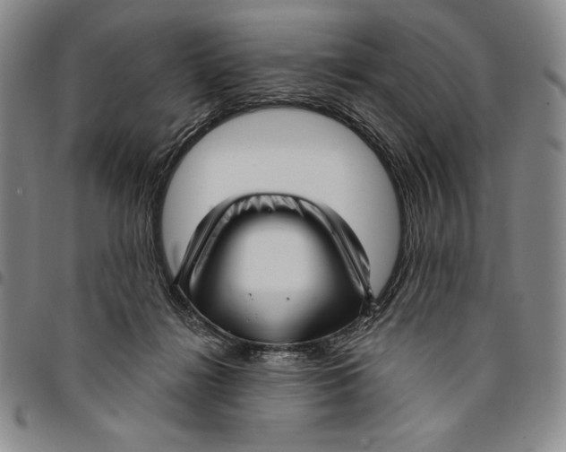 X0000094380268200711301407