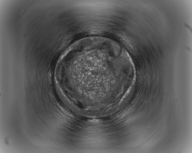 X0000094380269200711301407