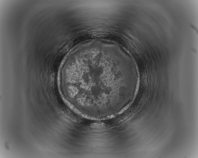 X0000094380271200711301407