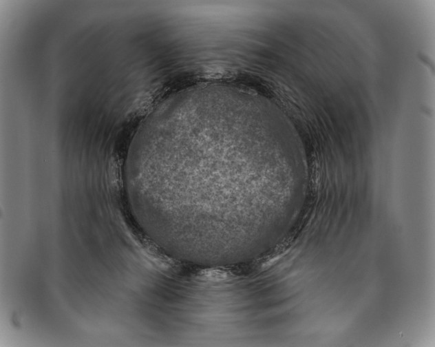X0000094380272200711301407
