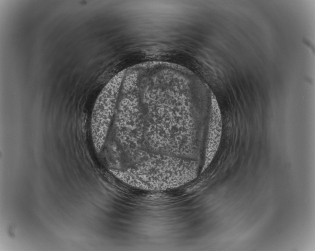 X0000094380275200711301407