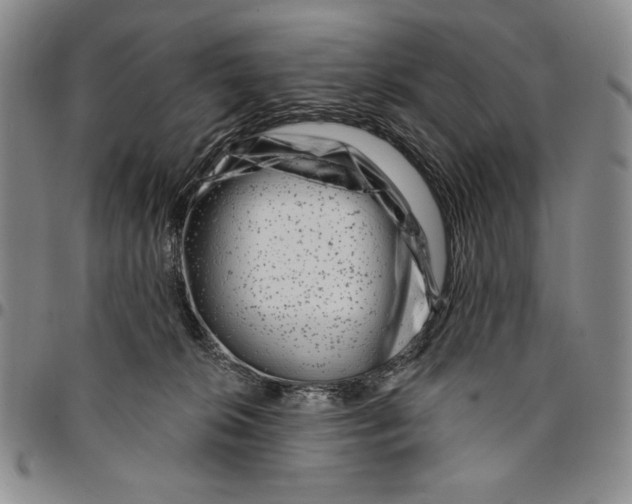 X0000094380276200711301407