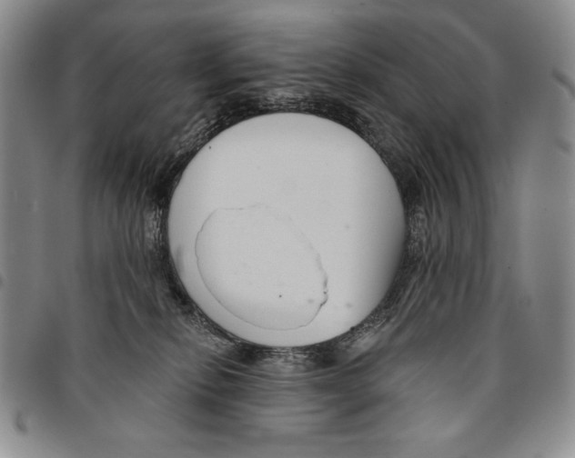 X0000094380278200711301407