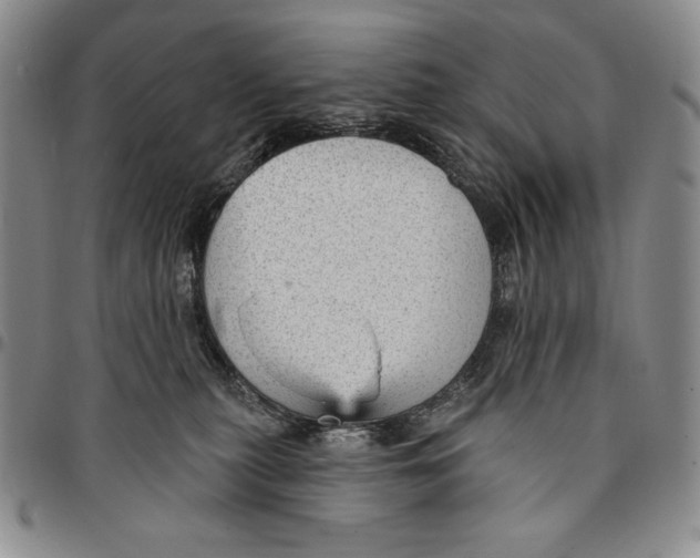 X0000094380279200711301407