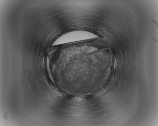 X0000094380280200711301407