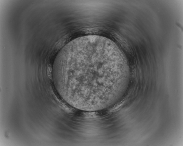 X0000094380281200711301407